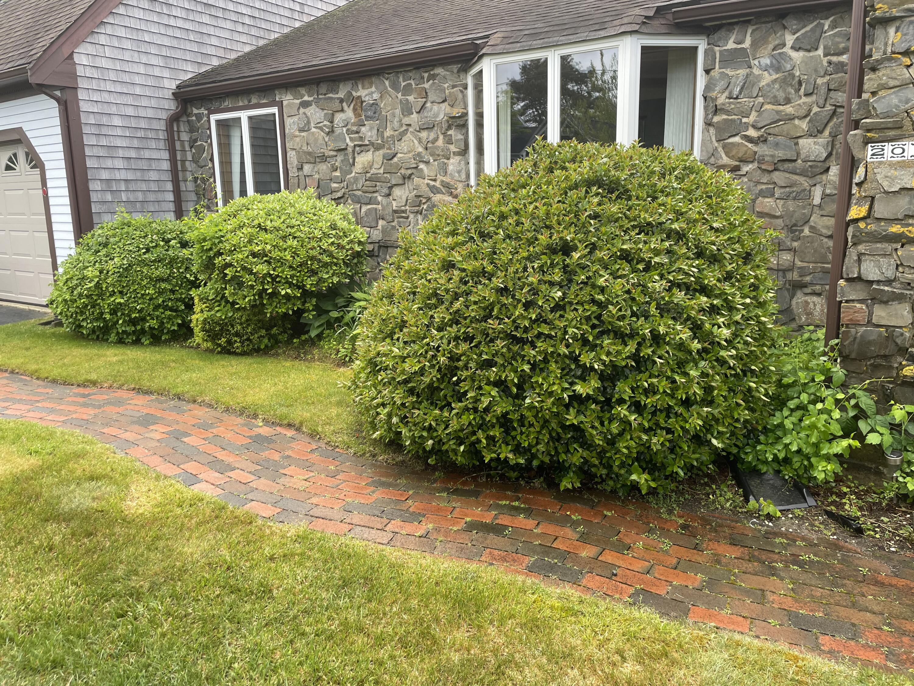 201 Center Street Dennis Port, MA 02639 - Photo 2 of 11 IMG_7445