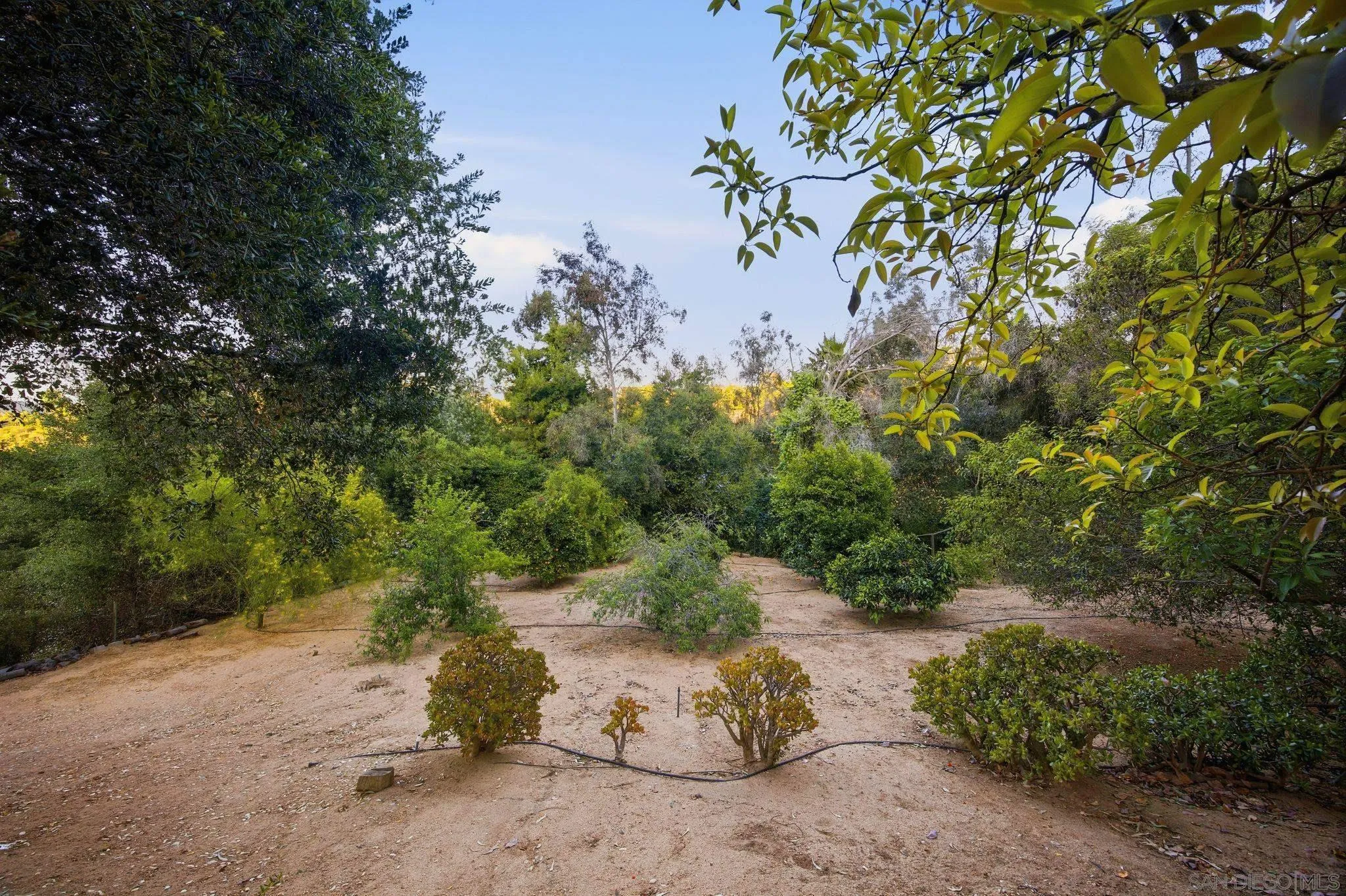 1010 Quail Creek Road Fallbrook, CA 92028 - Photo 34 of 53