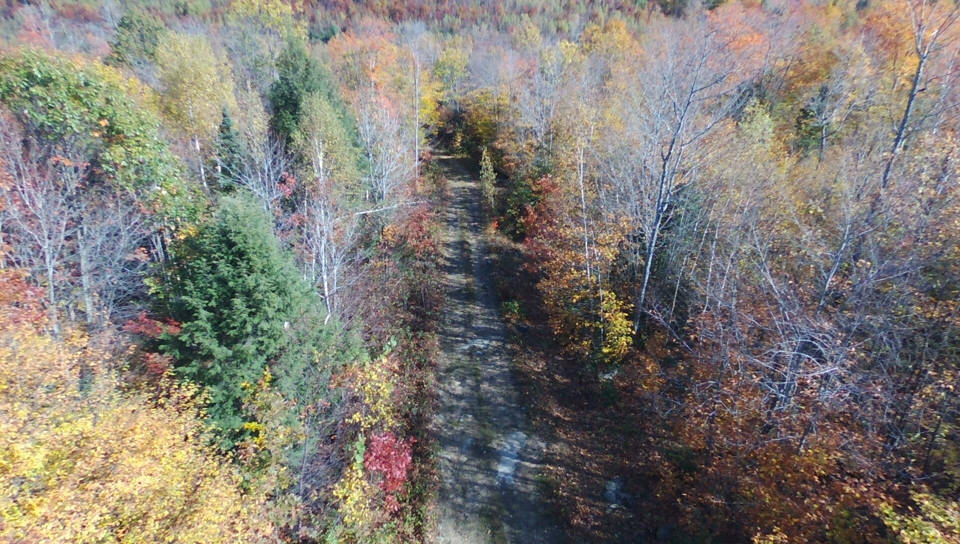 Tbd Lyle Hall Road Wilton, ME 04294 - Photo 6 of 15 BOGUE DRONE PICS 10-12-20 003