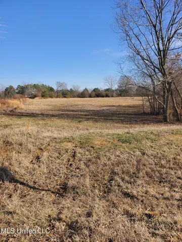 $450,000 | 0 Miracle Drive, Senatobia, MS 38668