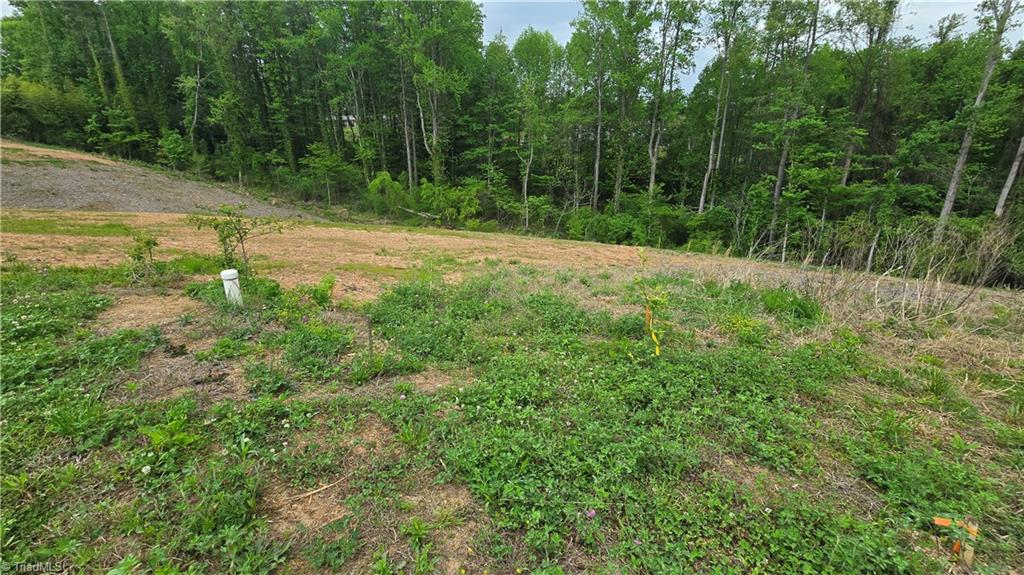 Lot 29-30 Meadowlark Rd Mount Mount Airy, NC 27030 - Photo 6 of 10