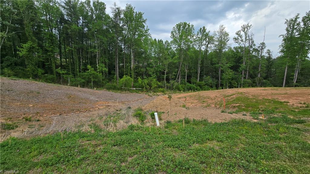 Lot 29-30 Meadowlark Rd Mount Mount Airy, NC 27030 - Photo 7 of 10