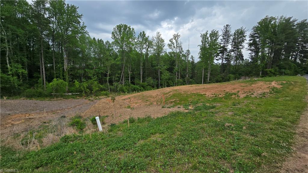 Lot 29-30 Meadowlark Rd Mount Mount Airy, NC 27030 - Photo 8 of 10