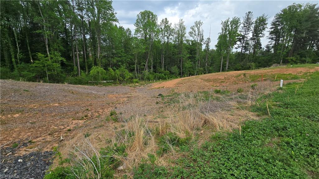 Lot 29-30 Meadowlark Rd Mount Mount Airy, NC 27030 - Photo 10 of 10