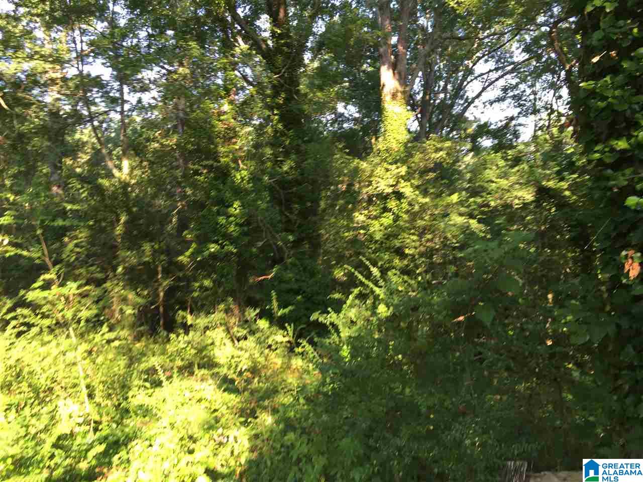 2089 Gate 8 Road Anniston, AL 36201 - Photo 14 of 16