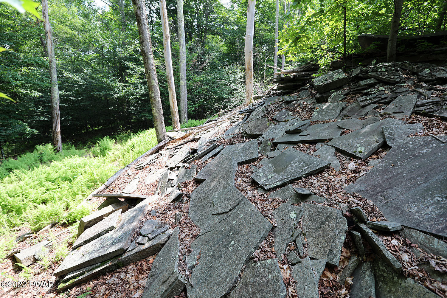 0 Minckler Mountain Road Damascus, PA 18415 - Photo 3 of 43