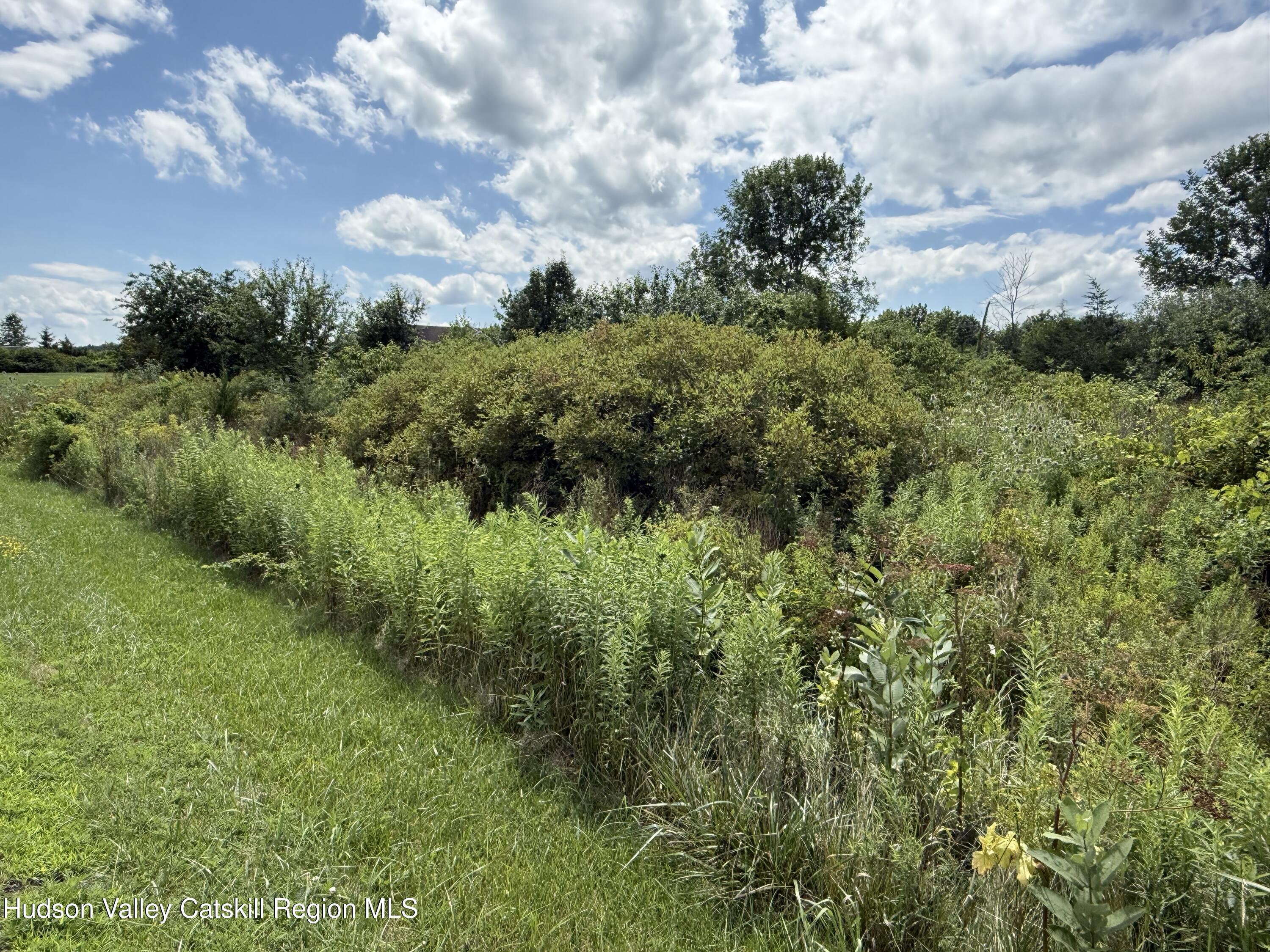 2906 Sleepy Hollow Road Athens, NY 12015 - Photo 3 of 20 IMG_2871