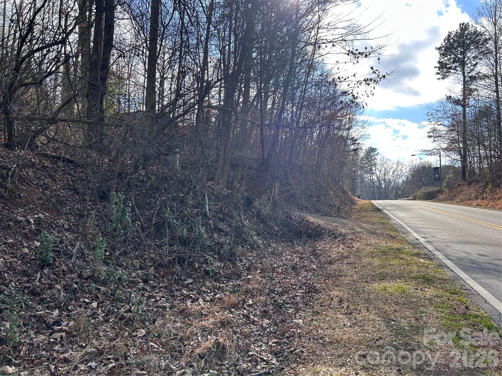 303 Burke Street Hickory, NC 28601 - Photo 2 of 9 a view of a yard with large trees