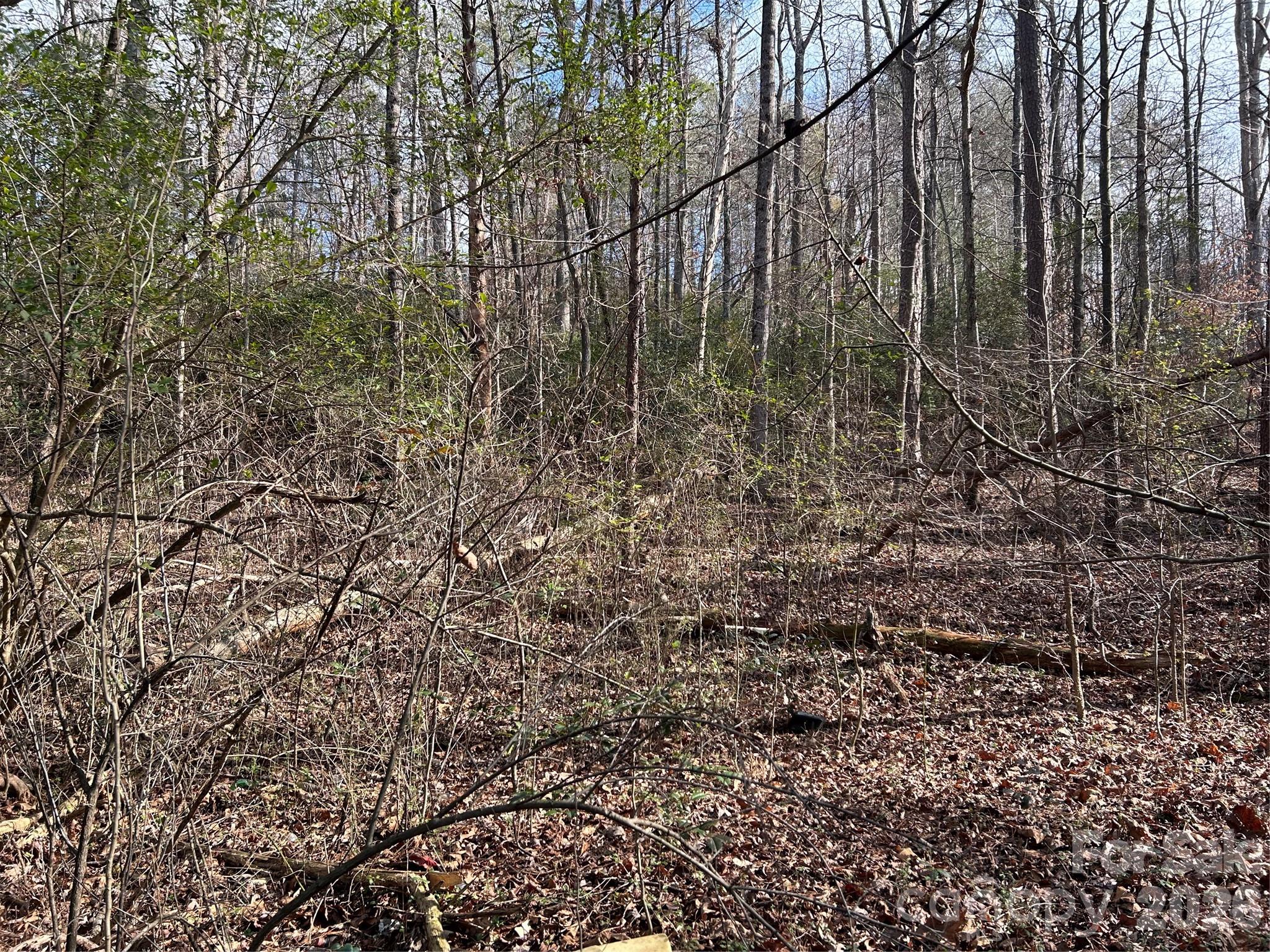 303 Burke Street Hickory, NC 28601 - Photo 5 of 9 a view of a yard with large trees