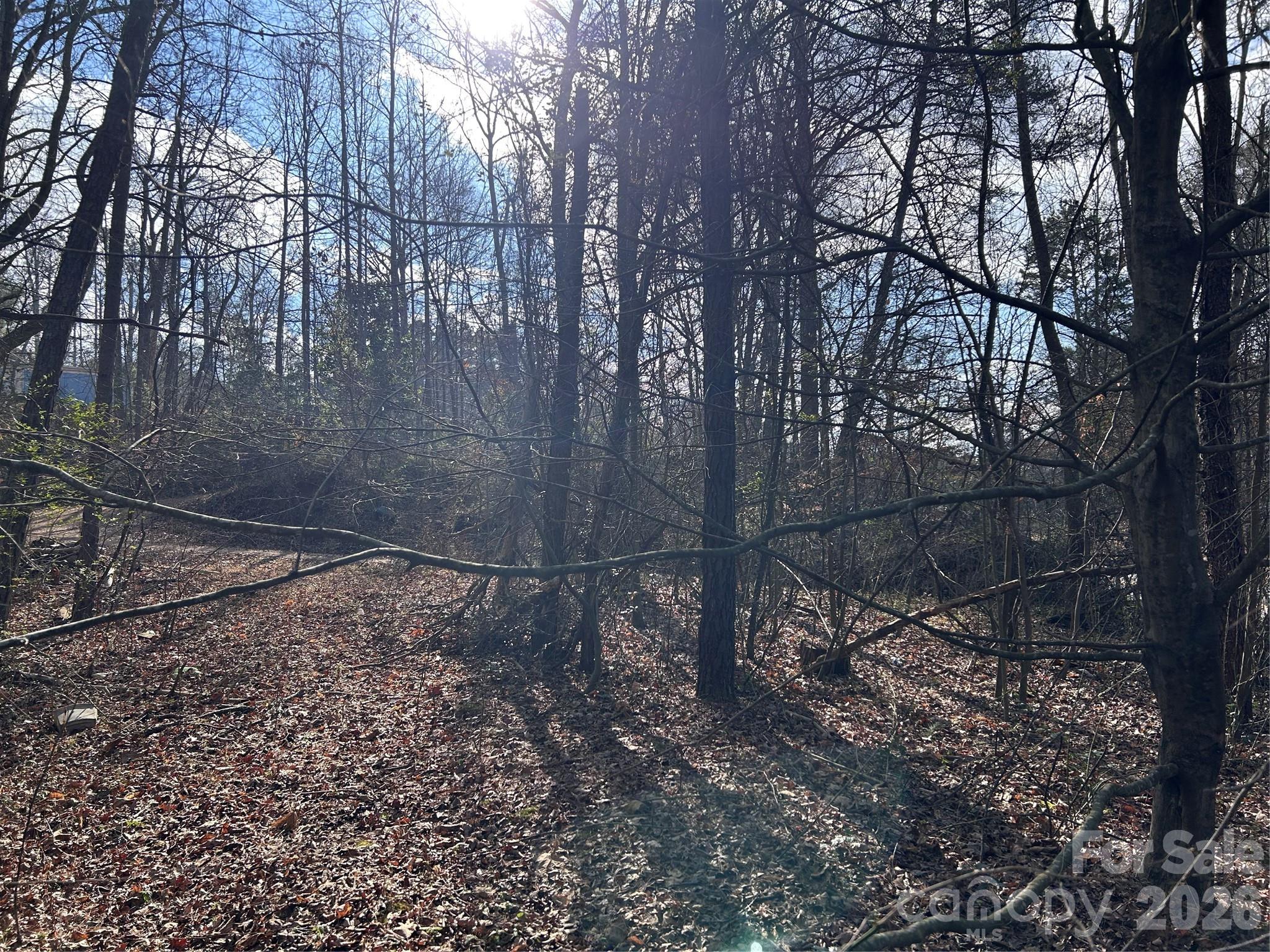 303 Burke Street Hickory, NC 28601 - Photo 6 of 9 a backyard of a house with lots of green space