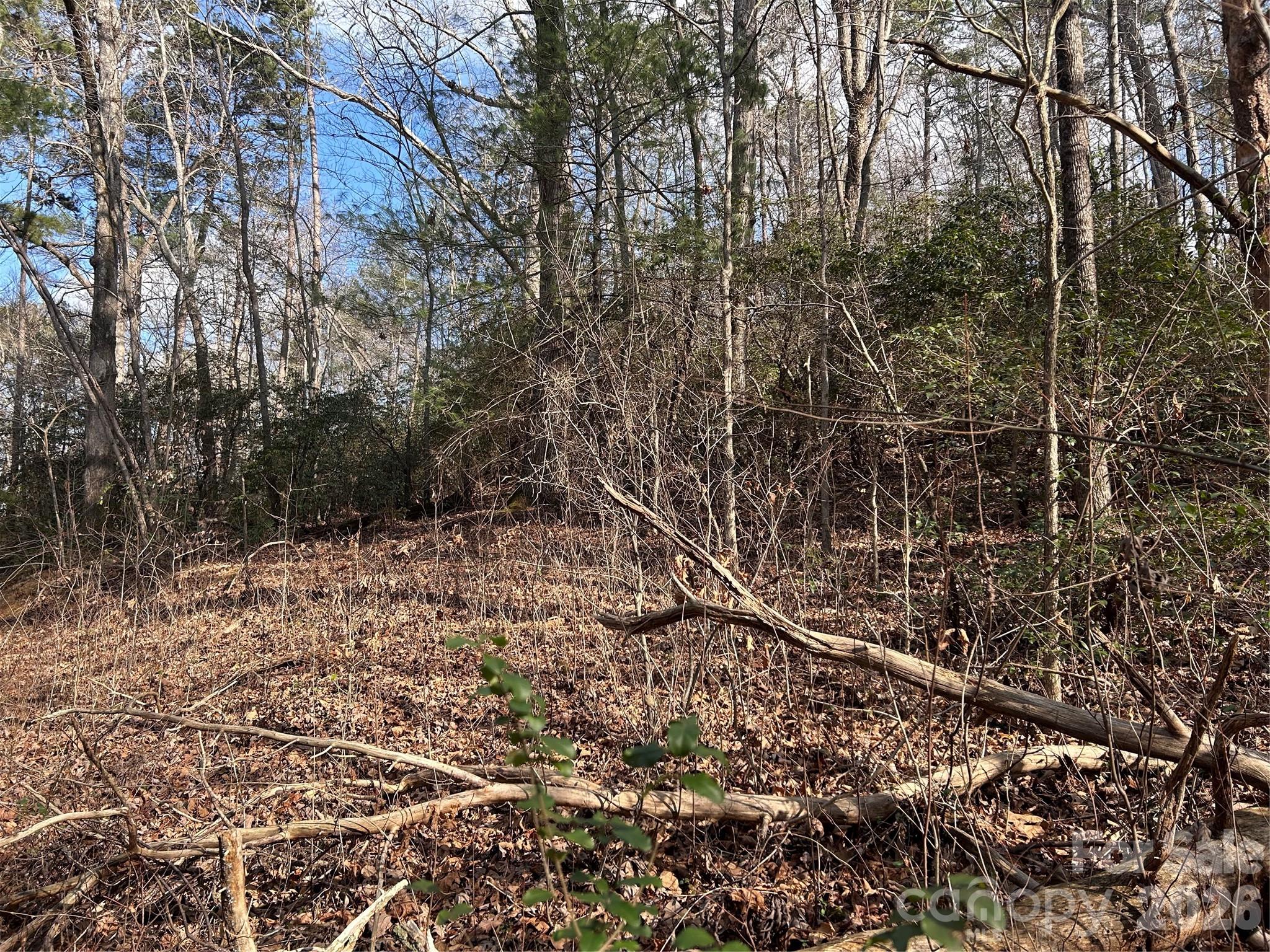 303 Burke Street Hickory, NC 28601 - Photo 7 of 9 a view of a yard with lots of bushes