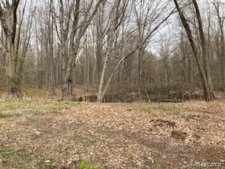 14416 Montle Road Clio, MI 48420 - Photo 12 of 16 IMG_593411.jpg