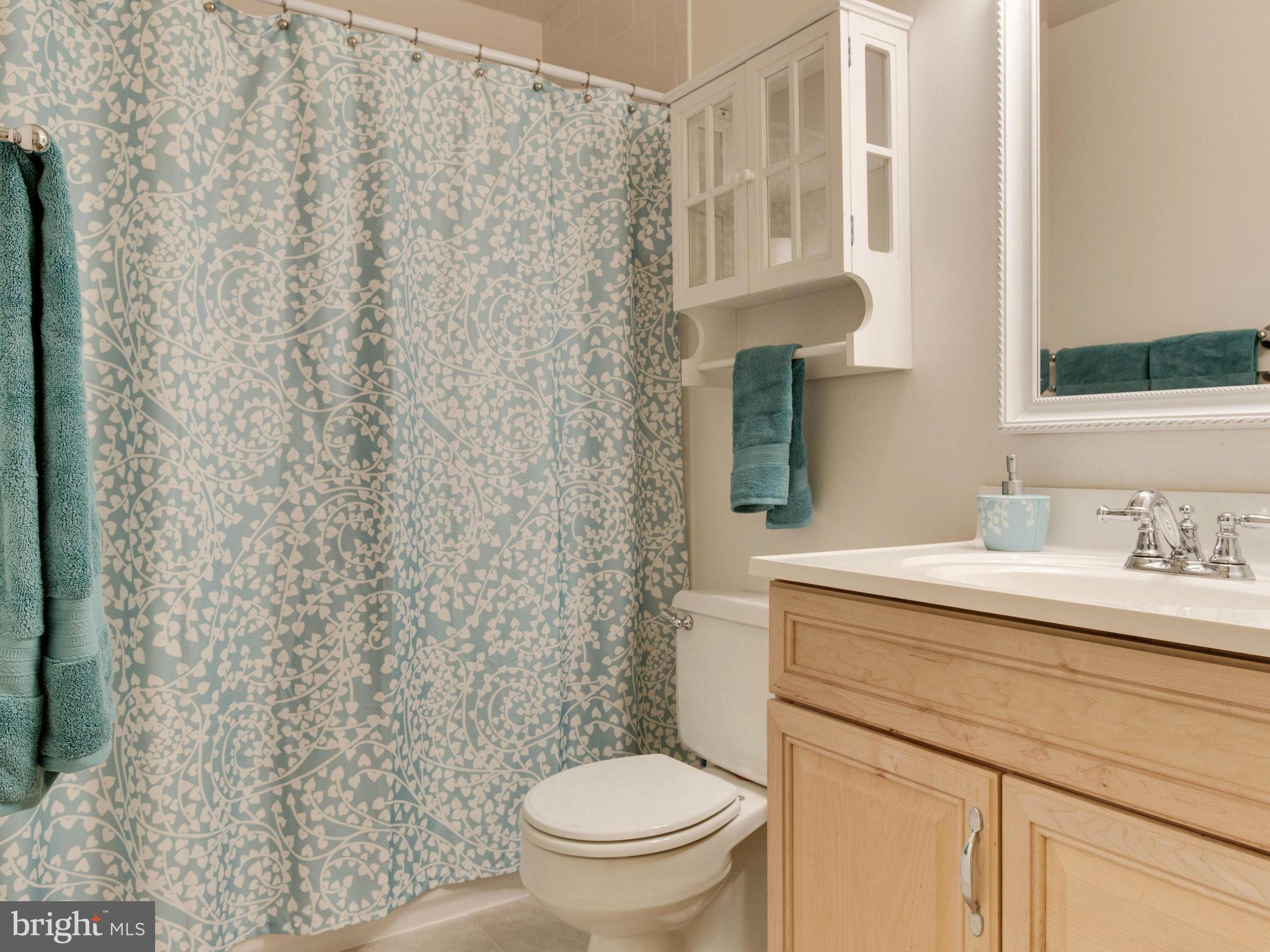 6042 Forrest Hollow Lane Springfield, VA 22152 - Photo 19 of 30 Bath