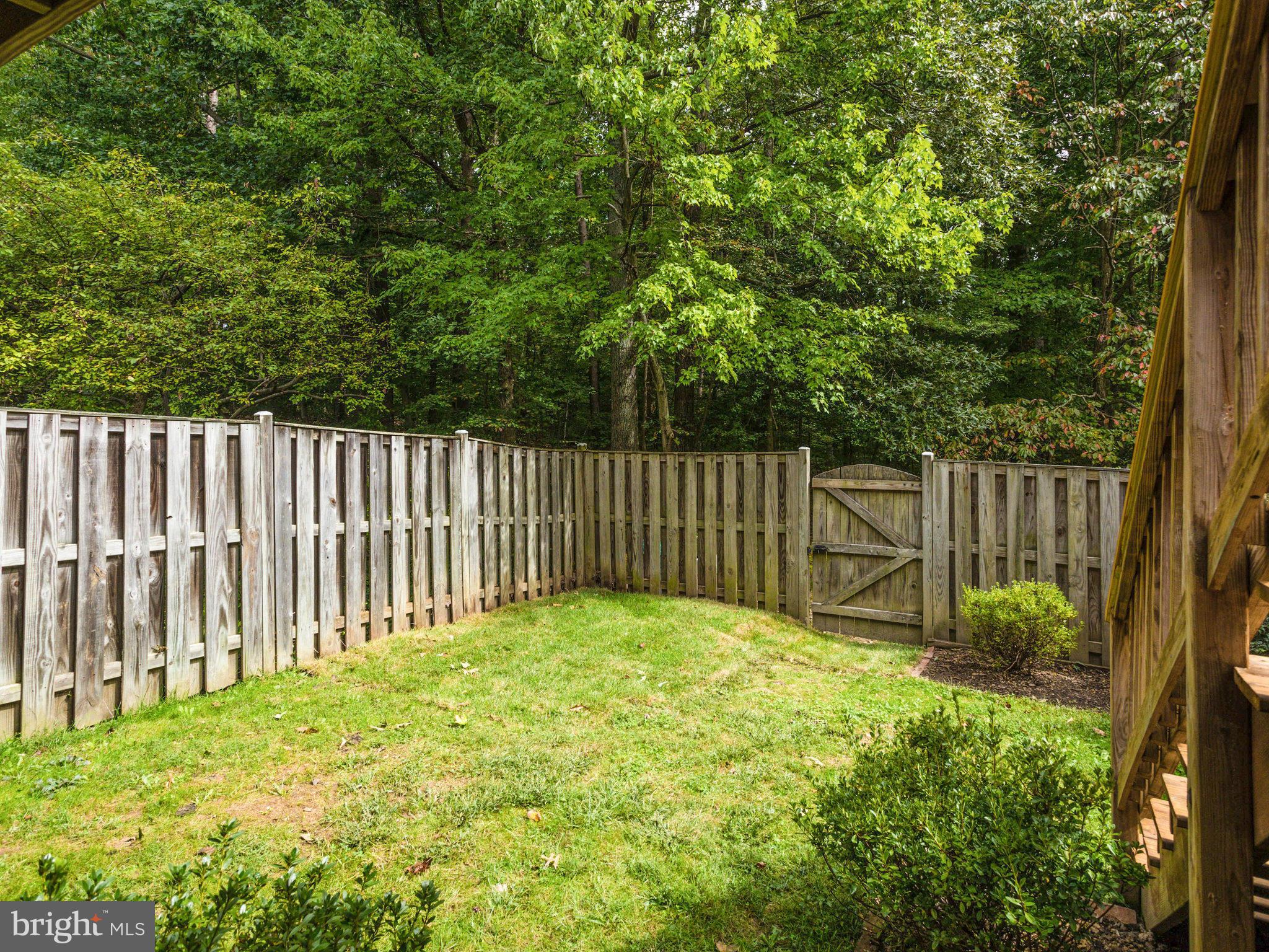 6042 Forrest Hollow Lane Springfield, VA 22152 - Photo 25 of 30 Exterior (Rear)