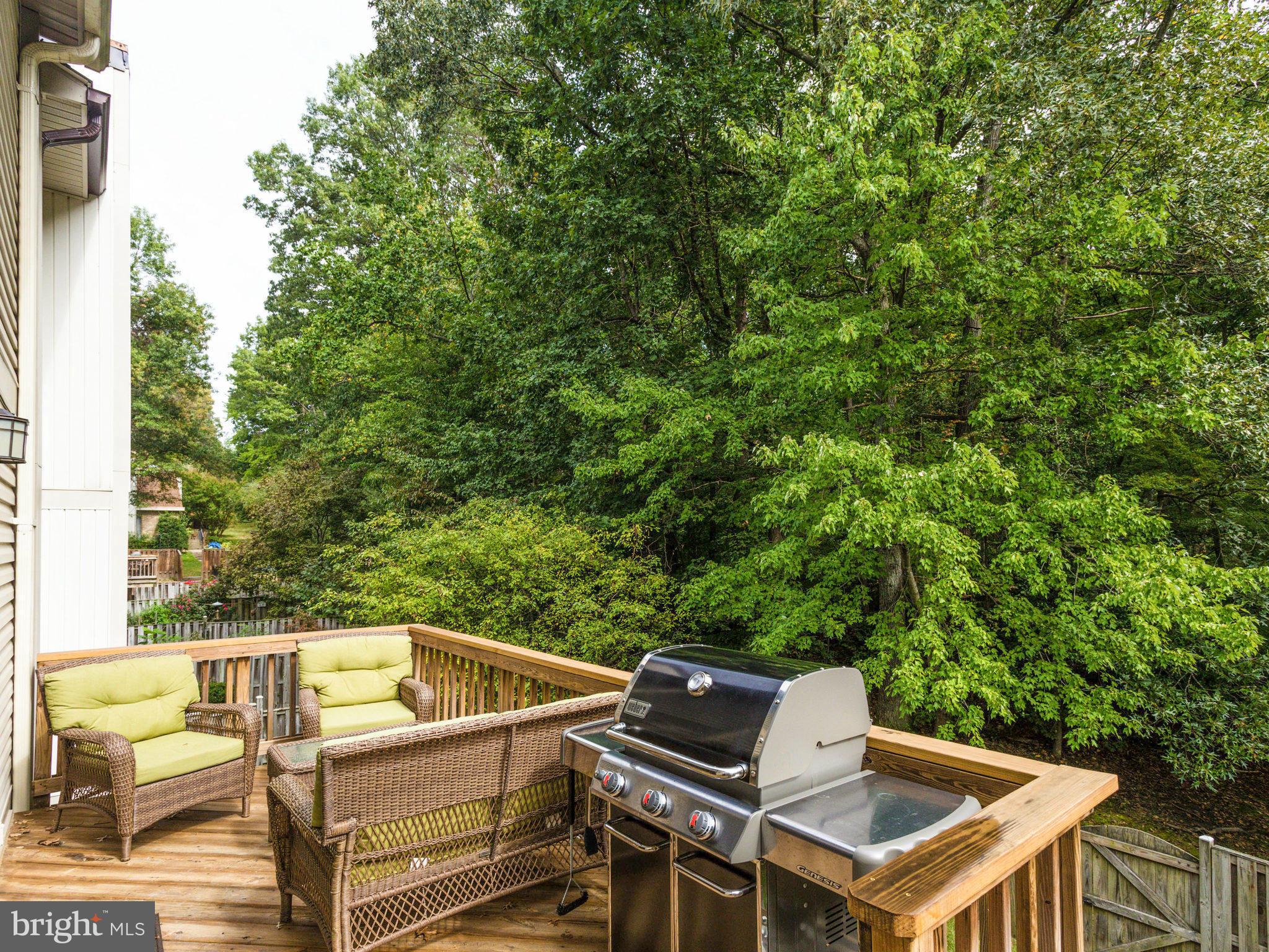 6042 Forrest Hollow Lane Springfield, VA 22152 - Photo 26 of 30 Exterior (Rear)