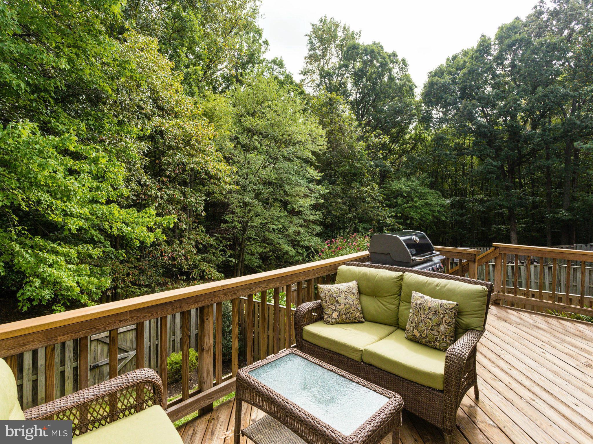 6042 Forrest Hollow Lane Springfield, VA 22152 - Photo 28 of 30 Exterior (Rear)