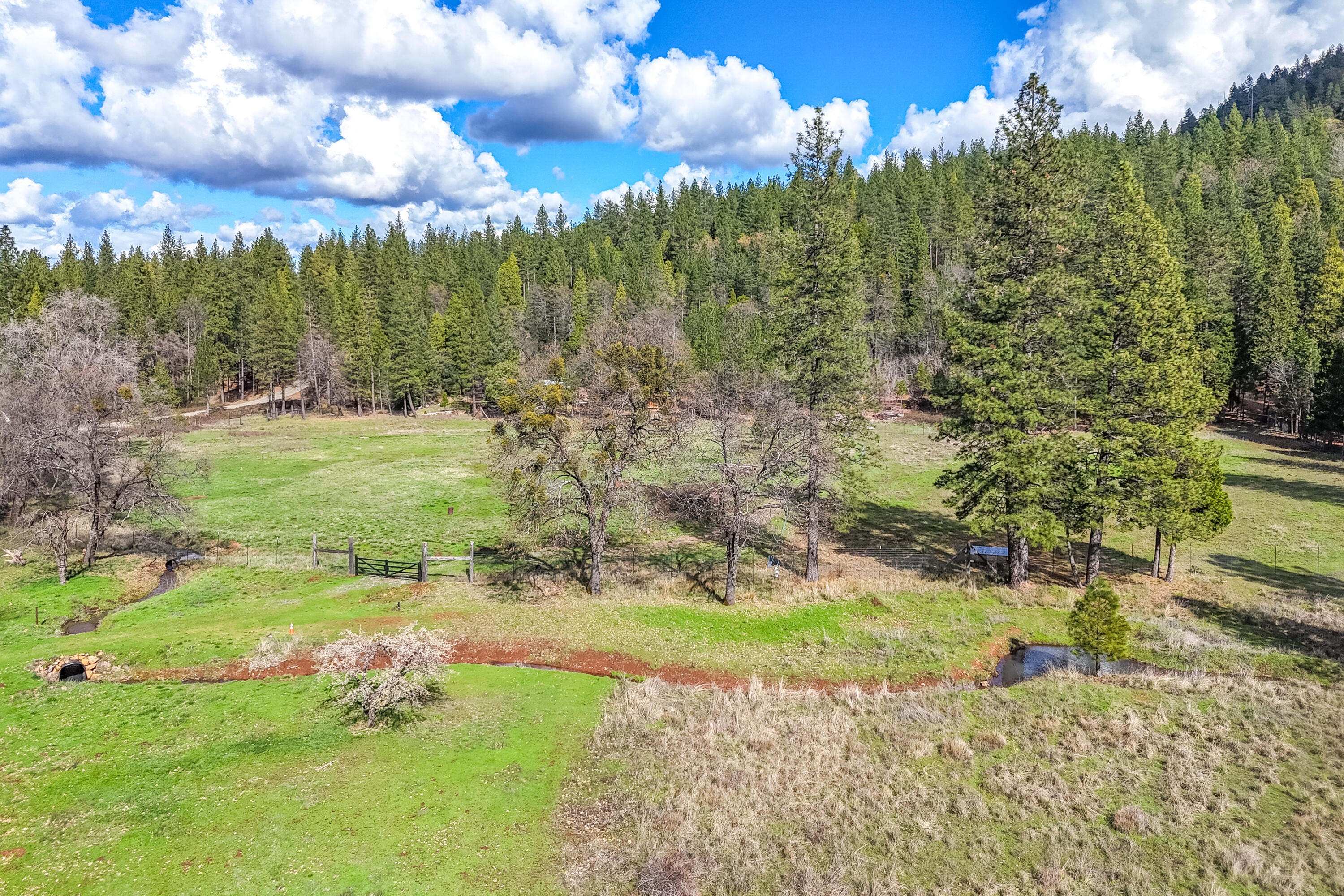 29276 Bullskin Ridge Road Oak Run, CA 96069 - Photo 111 of 113 Drone-18