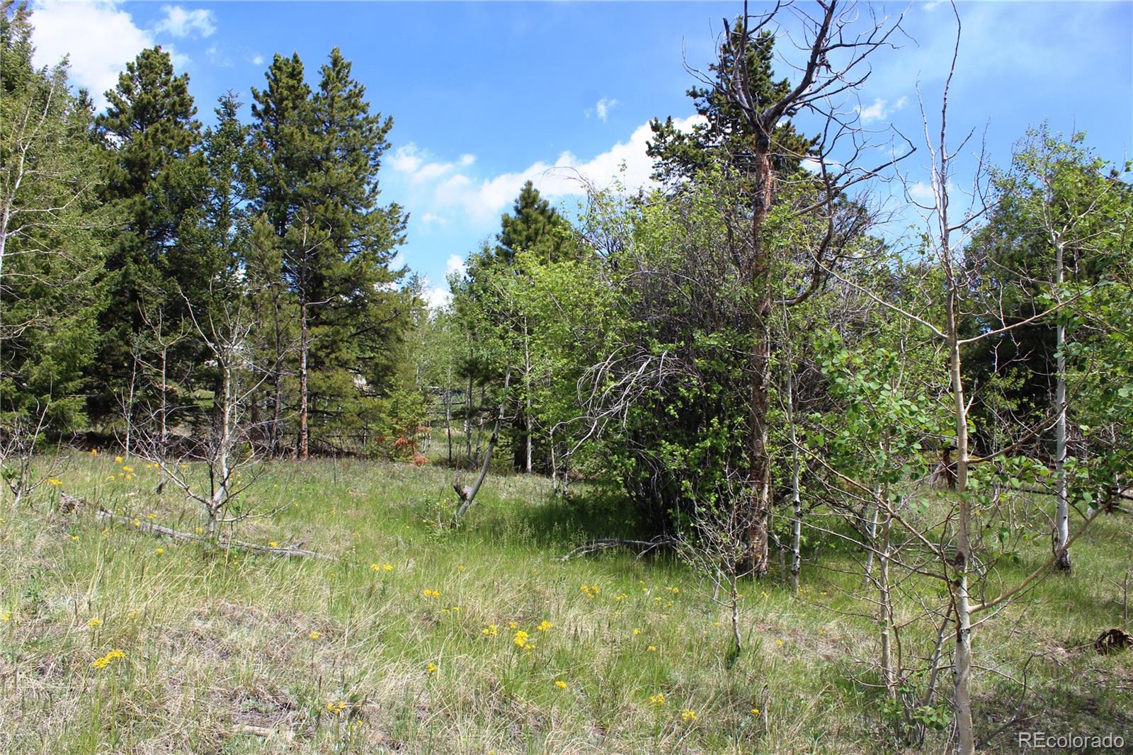 0 Quartz Hill Road Central City, CO 80427 - Photo 15 of 30