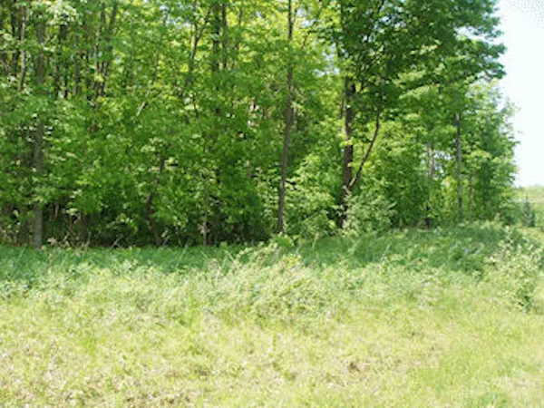 $22,900 | Lot 12-4th Lot 12-4th Add Margaret Ln Park Falls, Park Falls, WI 54552