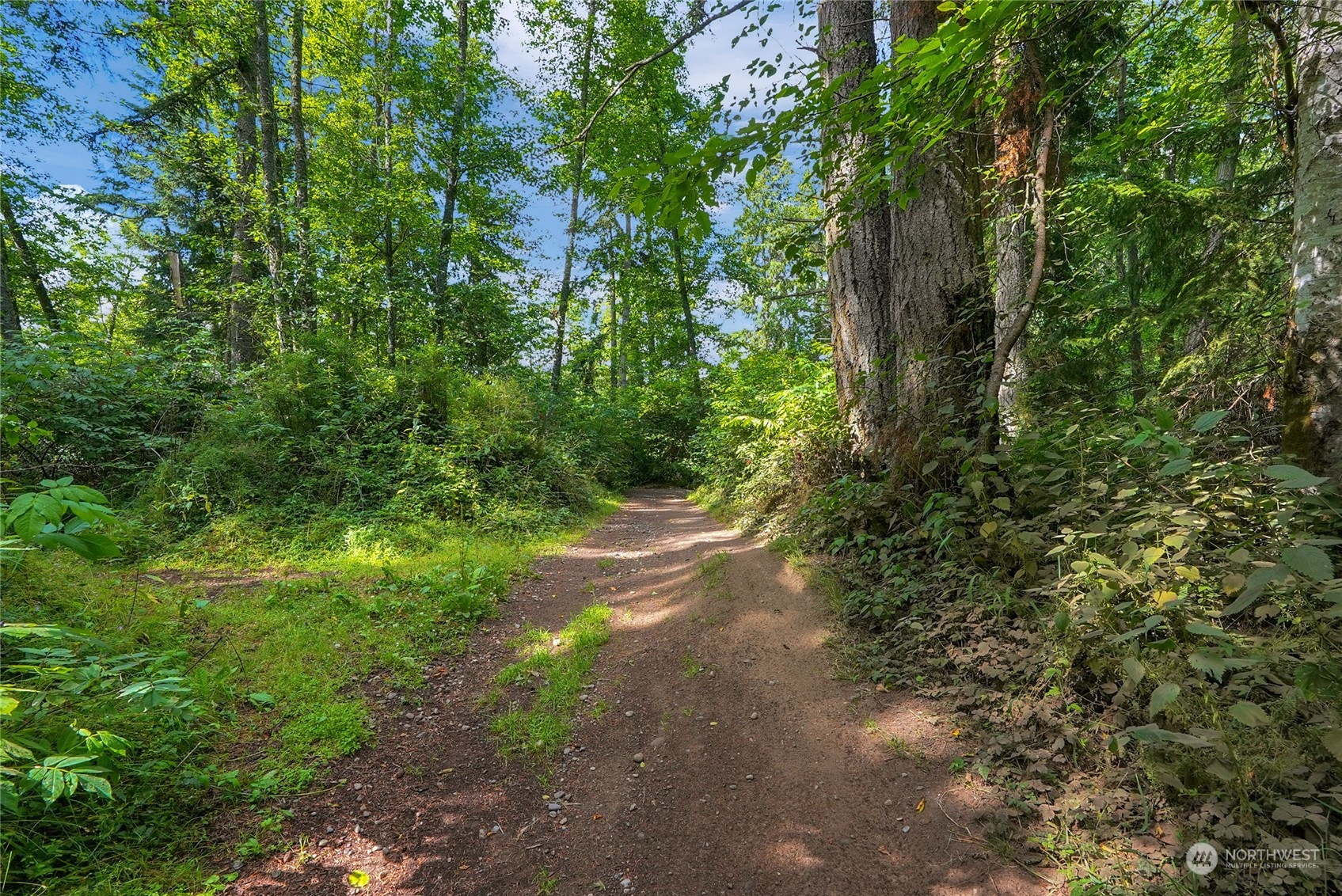 257 South Camano Ridge Road Camano Island, WA 98282 - Photo 39 of 40 Gallery Image 39
