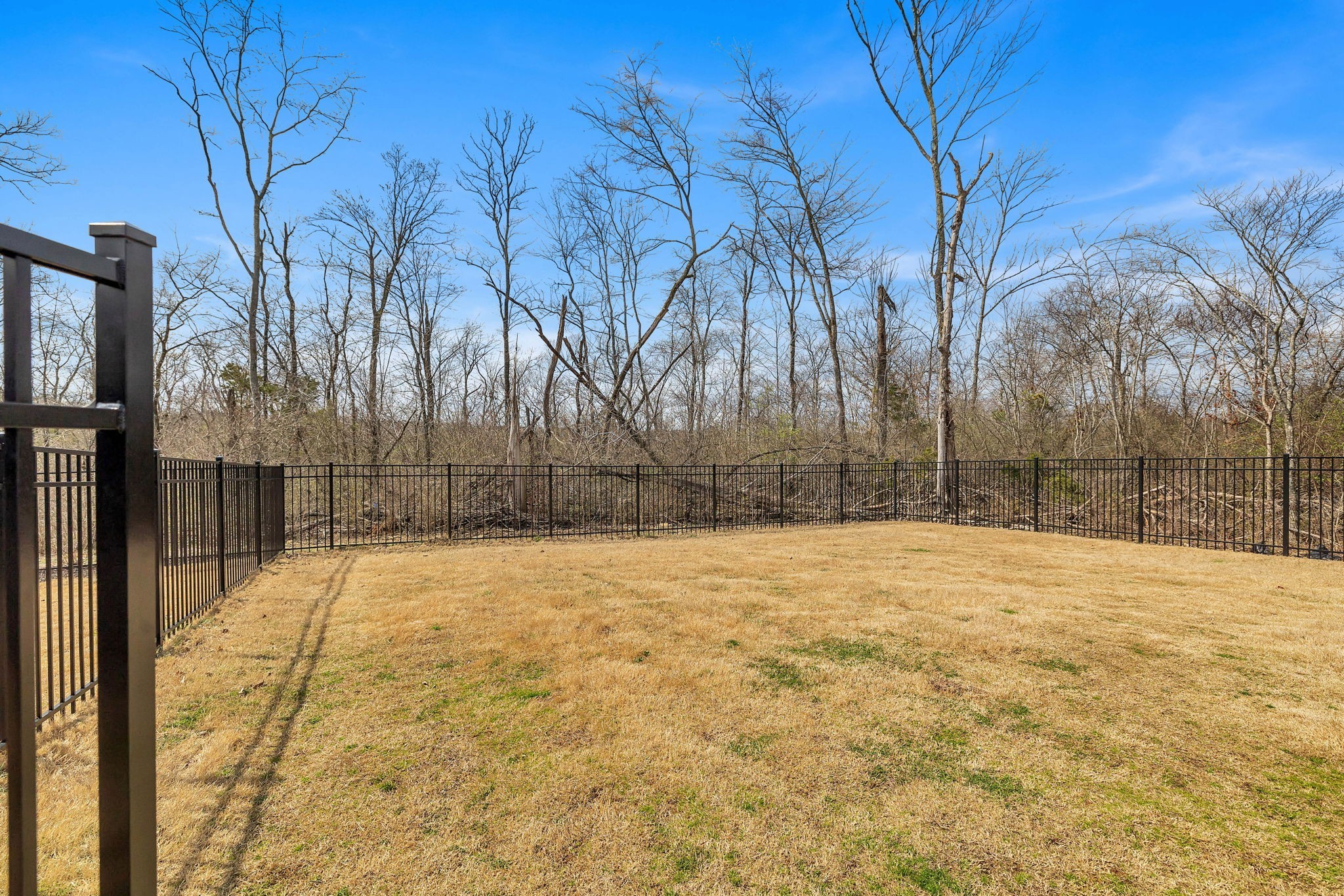 342 Buckner Cir Mount Mount Juliet, TN 37122 - Photo 39 of 40 a backyard of a house