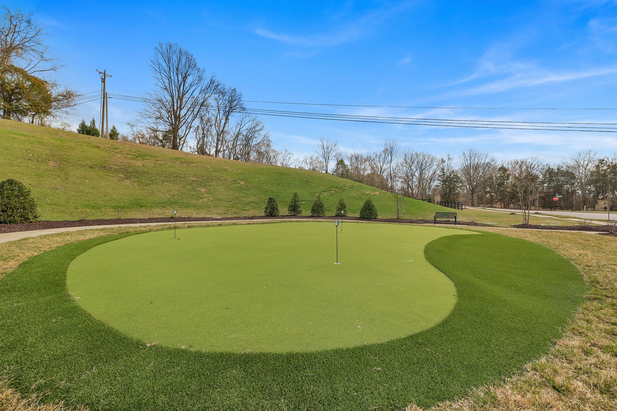 342 Buckner Cir Mount Mount Juliet, TN 37122 - Photo 40 of 40 a view of a swimming pool with a yard