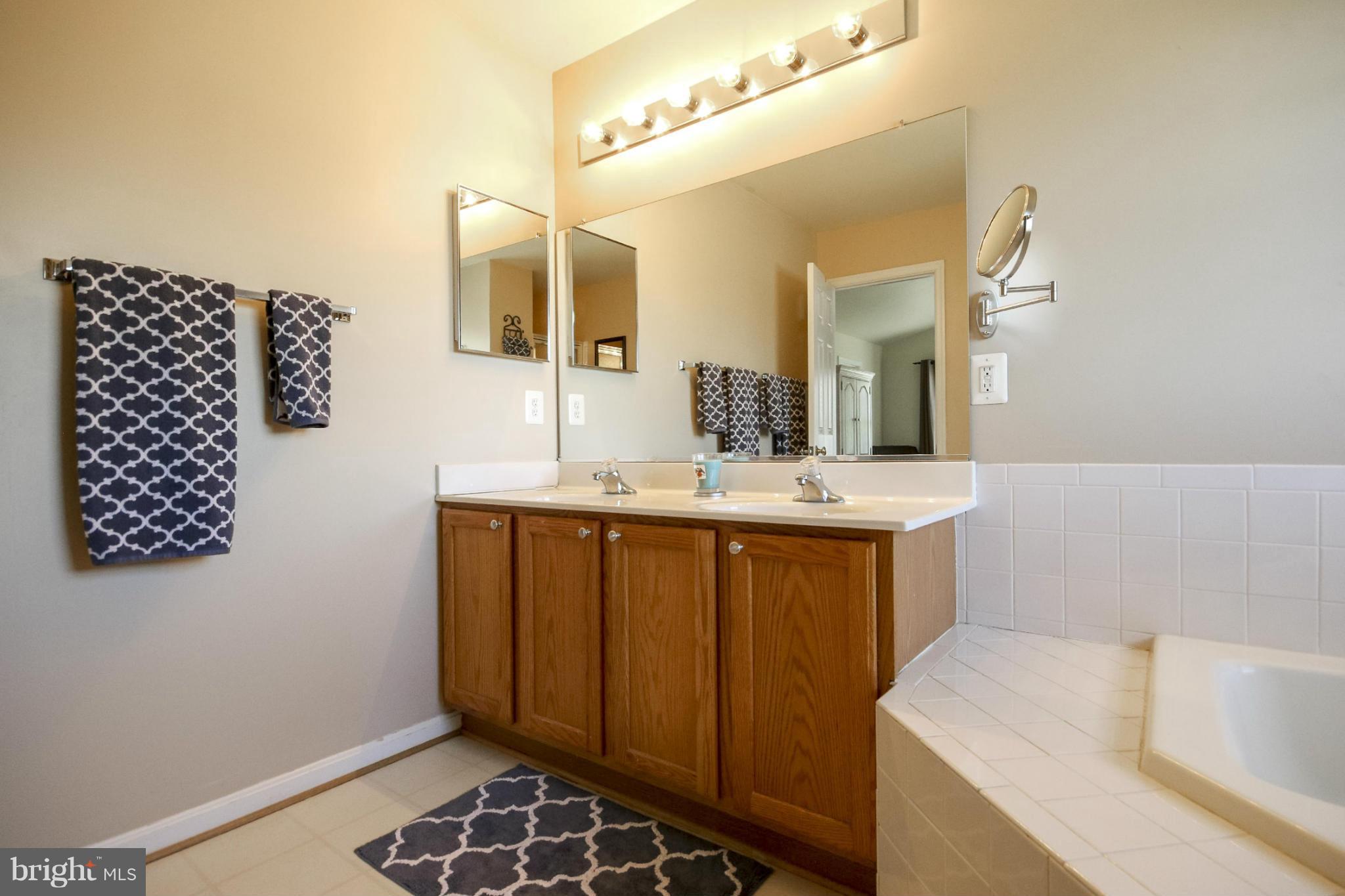 12395 Hazel River Road Rixeyville, VA 22737 - Photo 14 of 30 Bath (Master)