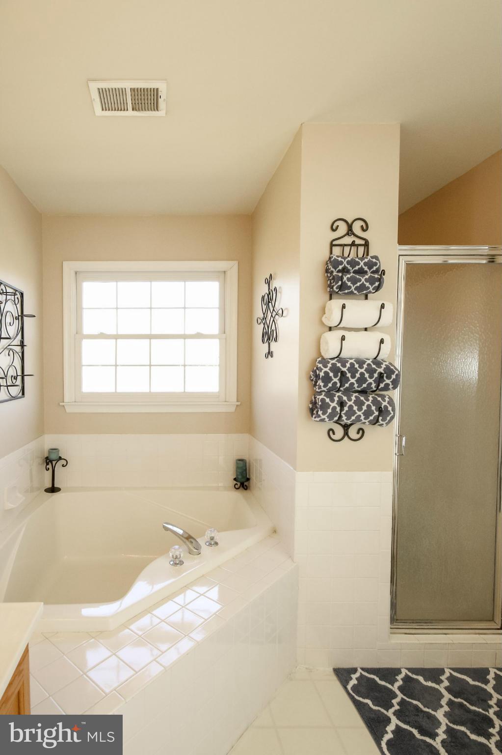 12395 Hazel River Road Rixeyville, VA 22737 - Photo 15 of 30 Bath (Master)
