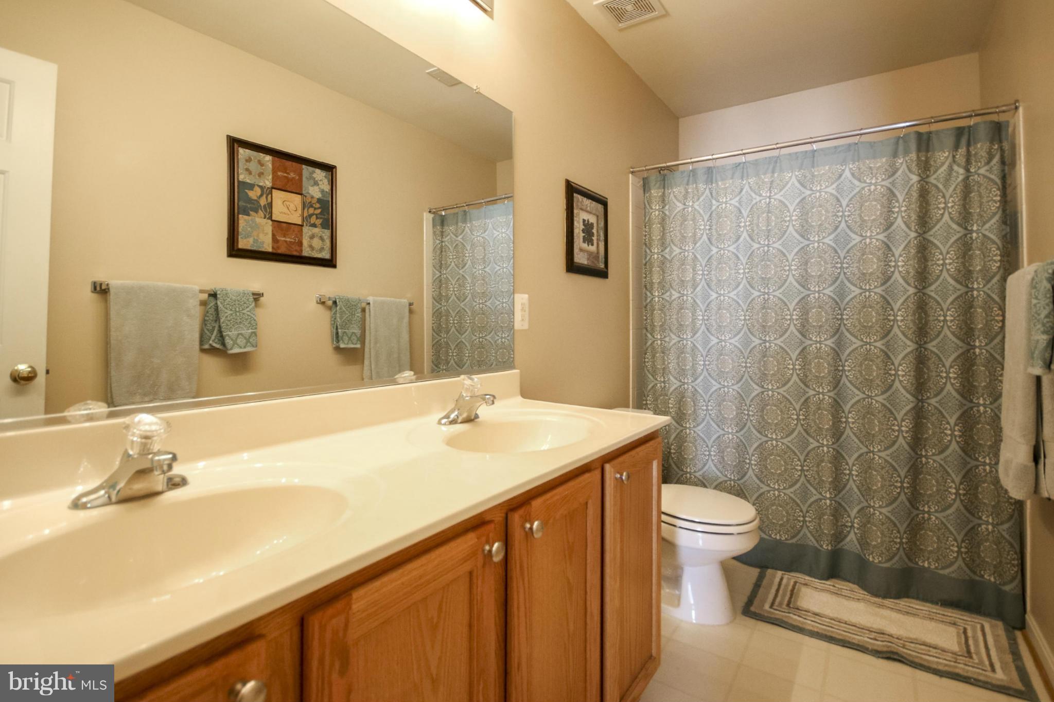 12395 Hazel River Road Rixeyville, VA 22737 - Photo 18 of 30 Bath