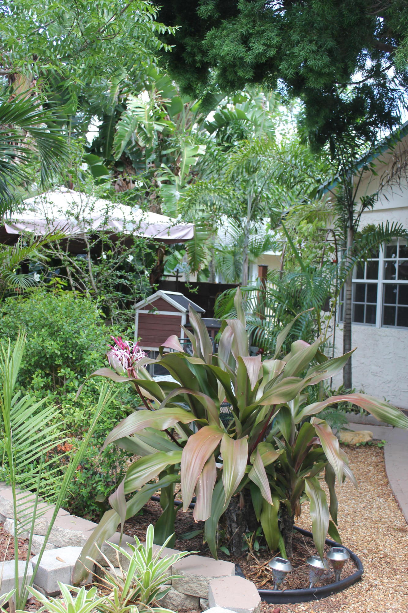 207 3rd Street Jupiter, FL 33458 - Photo 26 of 28 Front yard