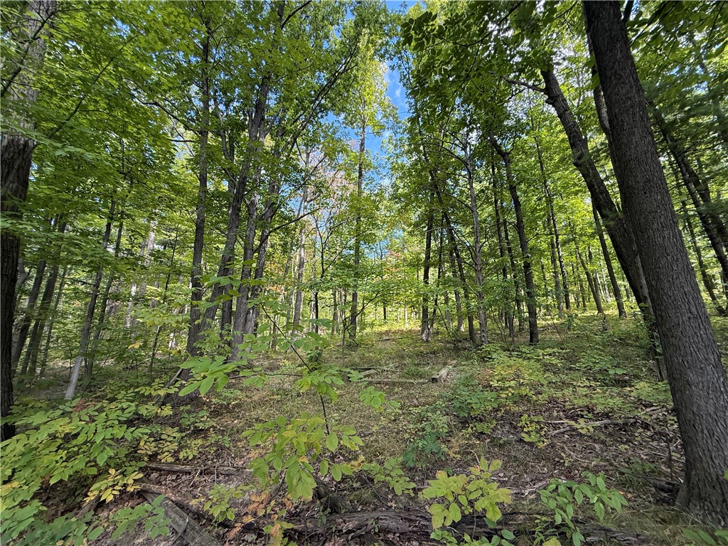 6486 Dugway Road Bristol, NY 14424 - Photo 42 of 50