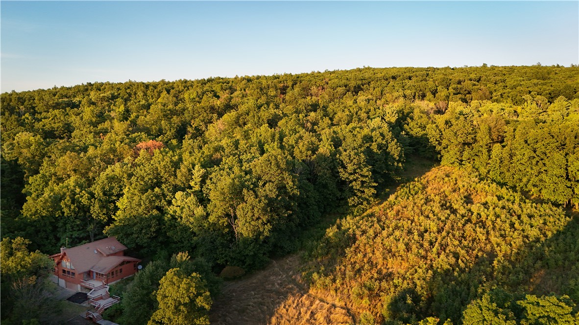 6486 Dugway Road Bristol, NY 14424 - Photo 46 of 50