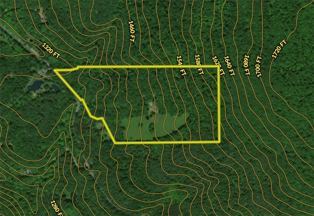 6486 Dugway Road Bristol, NY 14424 - Photo 47 of 50