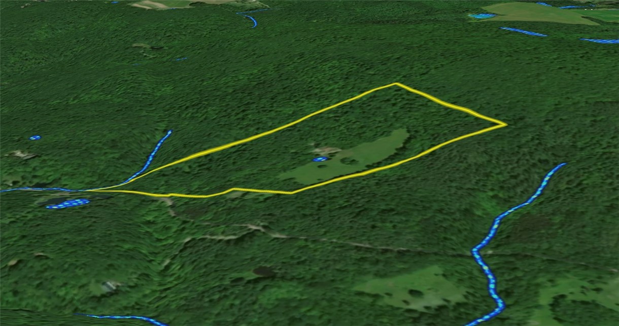 6486 Dugway Road Bristol, NY 14424 - Photo 49 of 50