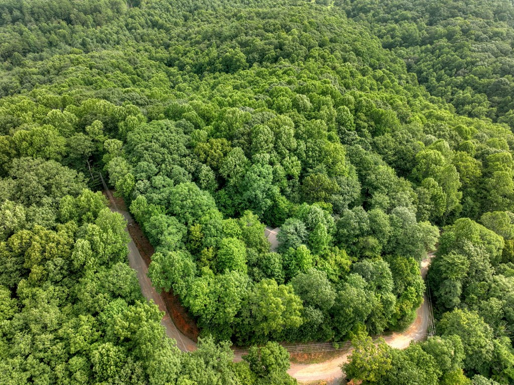 541 Little Bushy Head Road Blue Ridge, GA 30513 - Photo 10 of 45 Gallery Image 10