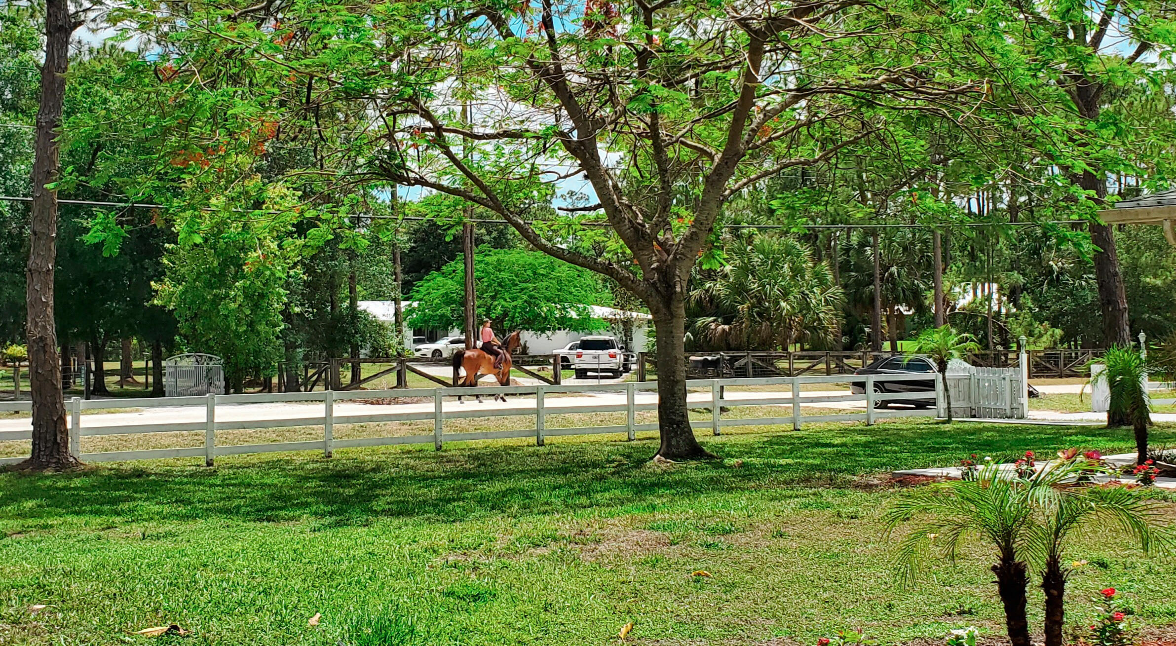 12031 175th Road North Jupiter, FL 33478 - Photo 20 of 20 Equestrian Community