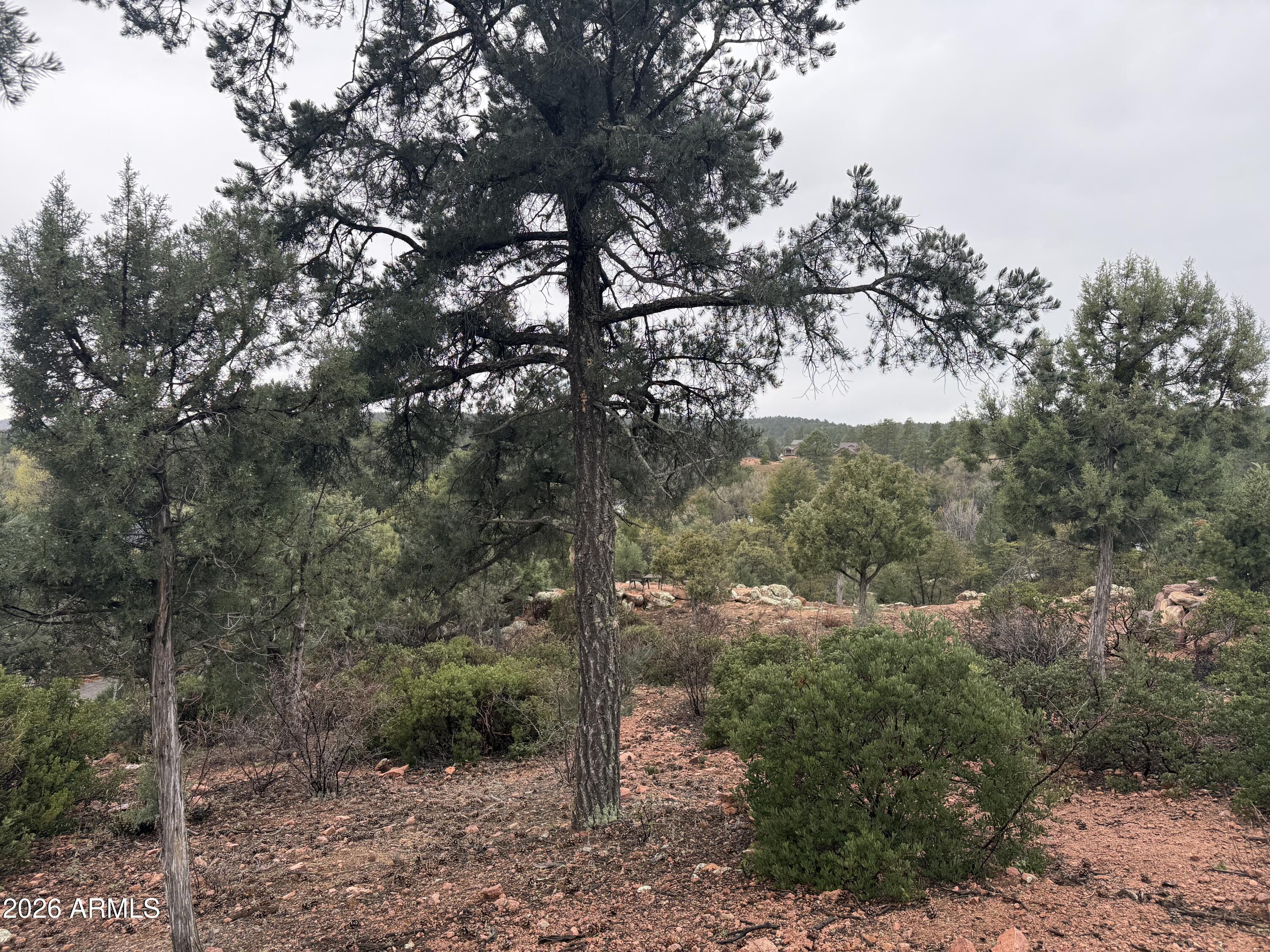 1106 Karen Way, Unit 5 Payson, AZ 85541 - Photo 2 of 5 a view of a forest with trees