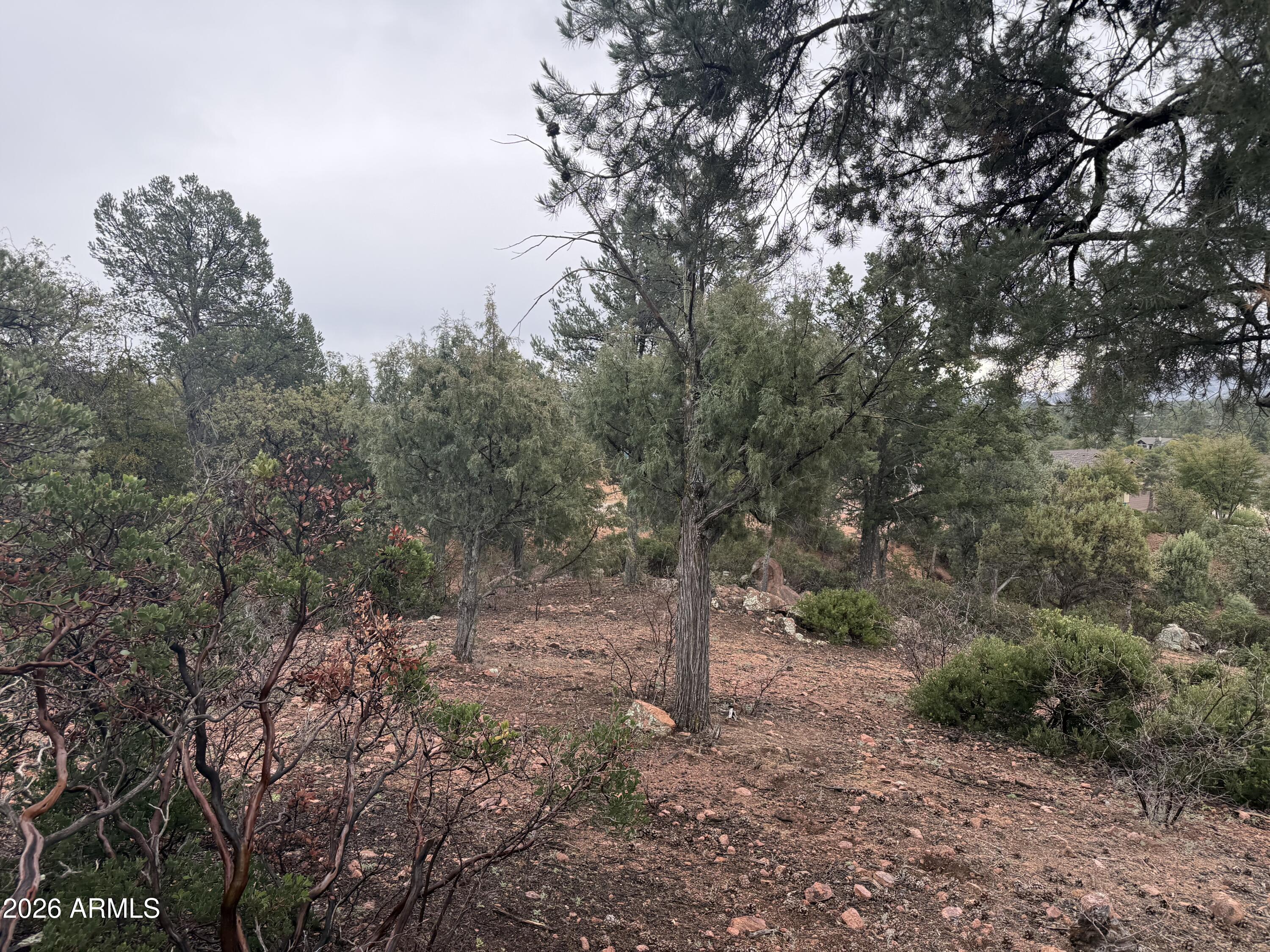 1106 Karen Way, Unit 5 Payson, AZ 85541 - Photo 3 of 5 a view of a forest with trees in the background