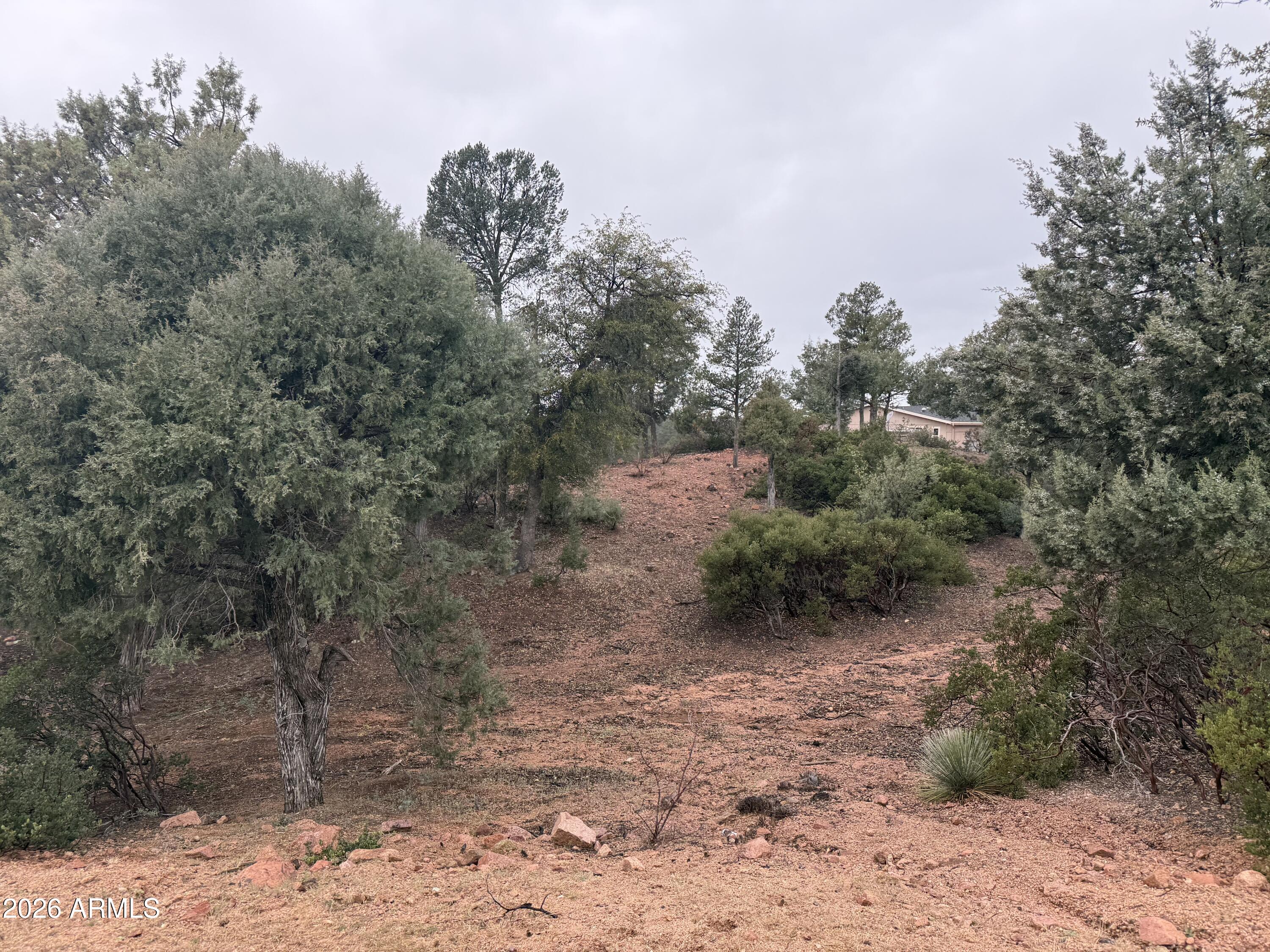 1106 Karen Way, Unit 5 Payson, AZ 85541 - Photo 4 of 5 a view of a forest with trees in the background