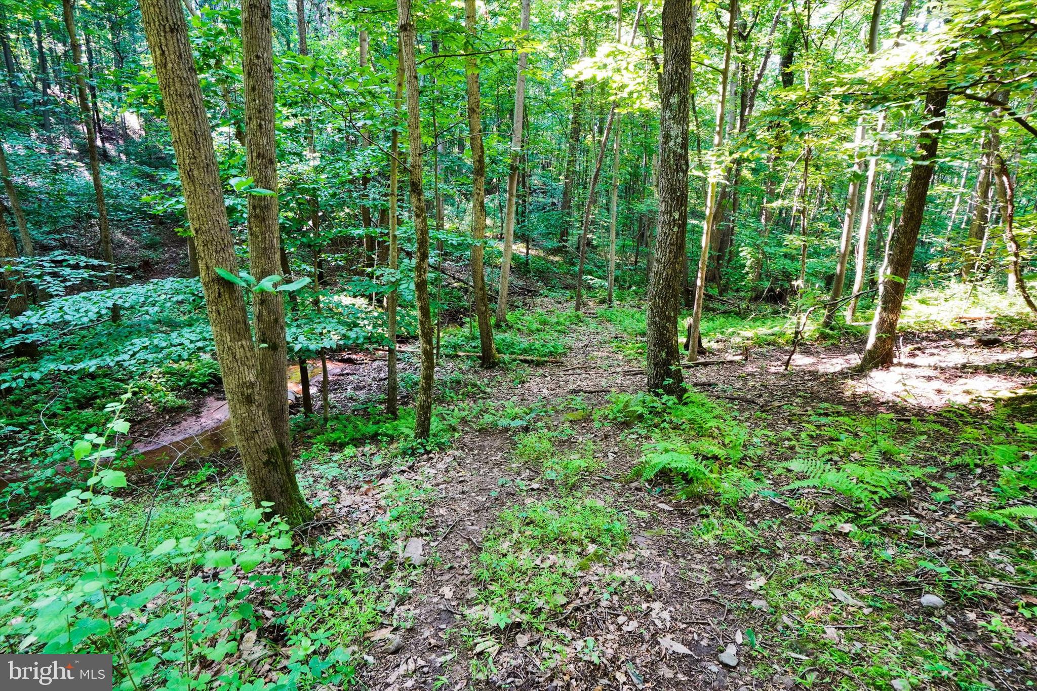 1110 Green Springs Road York, PA 17406 - Photo 38 of 60 Gallery Image 38