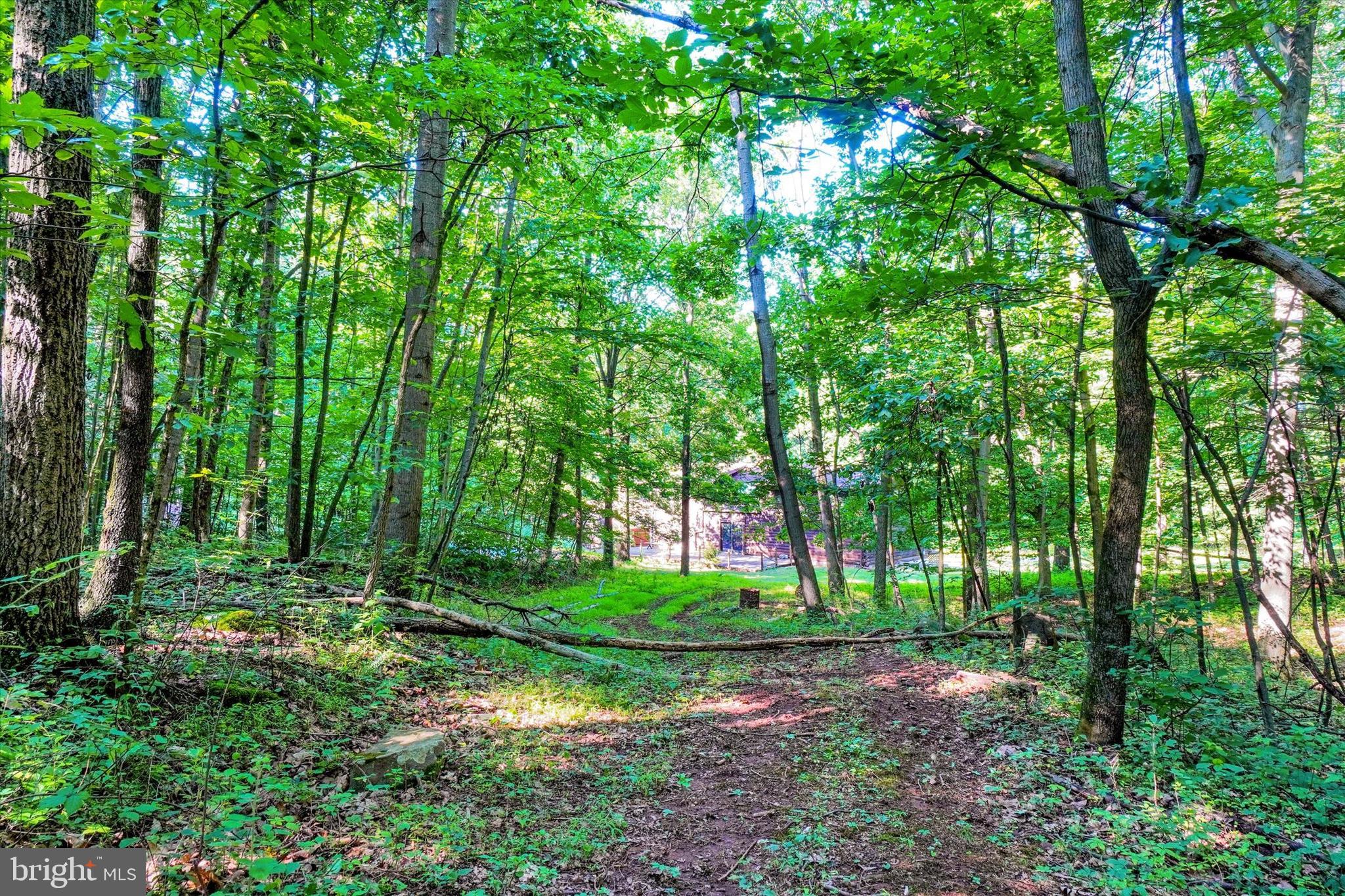 1110 Green Springs Road York, PA 17406 - Photo 40 of 60 Gallery Image 40
