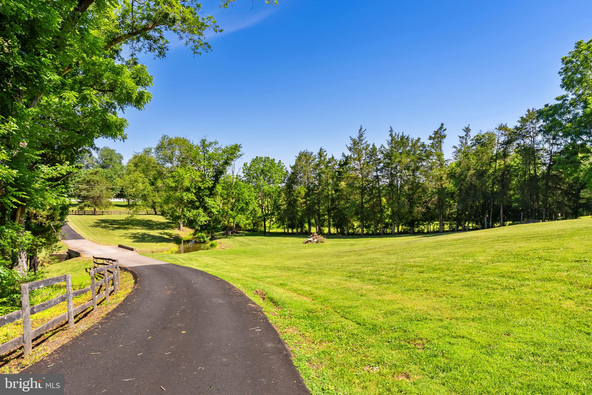 21147 Cedar Grove Road Culpeper, VA 22701 - Photo 11 of 91