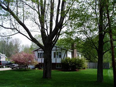 7064 Brooks Road Fruitport, MI 49415 - Photo 11 of 11 Additional Photo