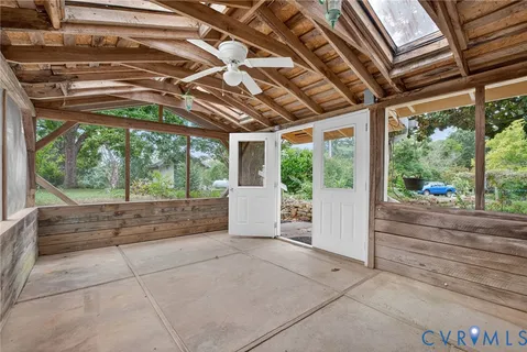 a close up of a plant in a yard