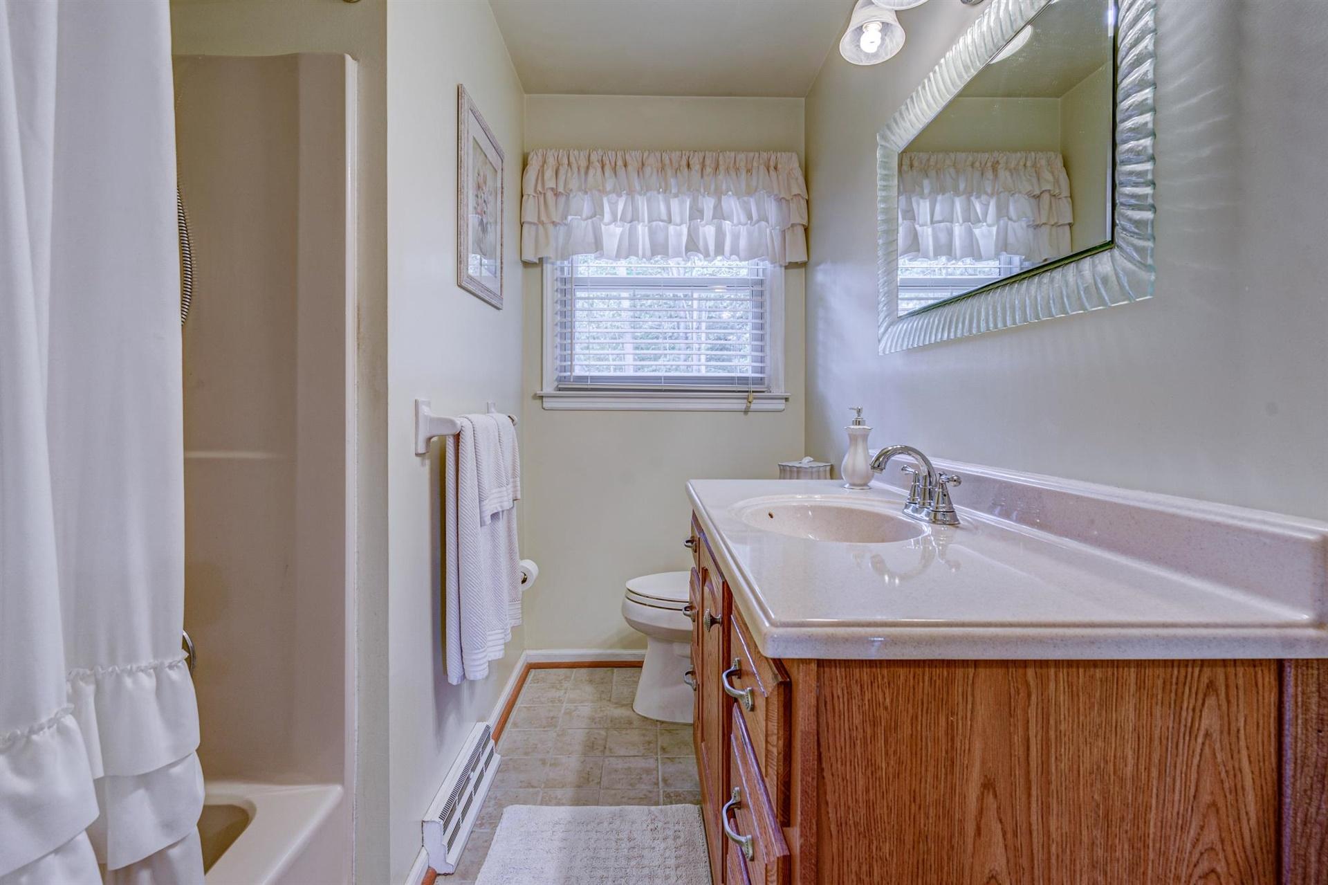 162 Ridgeview Road Blue Ridge, VA 24064 - Photo 22 of 32 Hall Bathroom