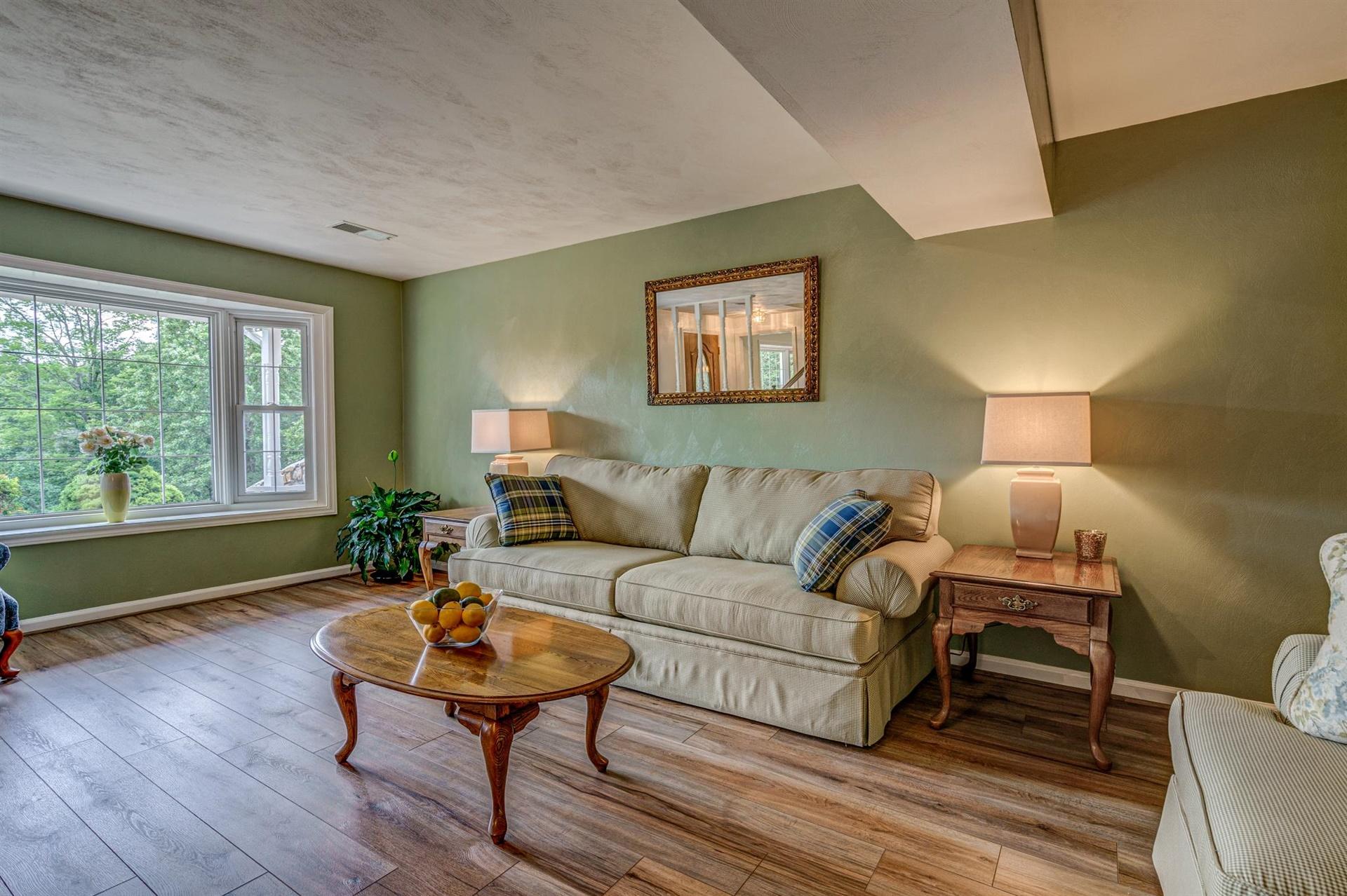 162 Ridgeview Road Blue Ridge, VA 24064 - Photo 7 of 32 Living Room