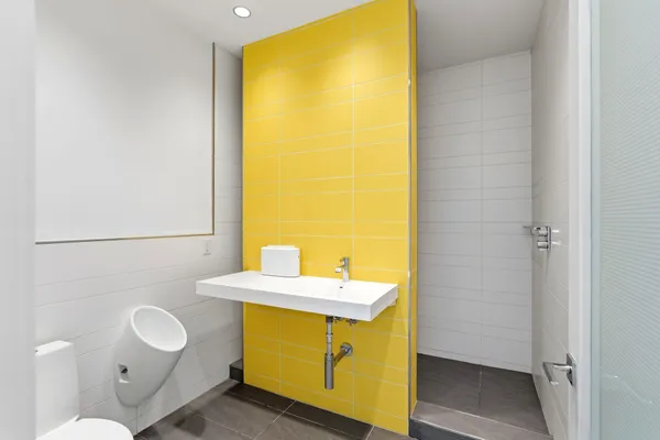 a bathroom with a sink mirror and a toilet