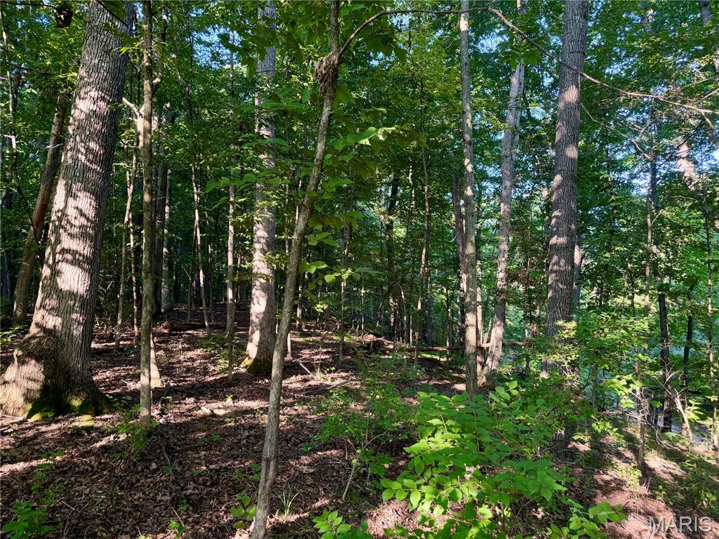 0 County Road Strasburg, IL 62465 - Photo 53 of 97 Gallery Image 53