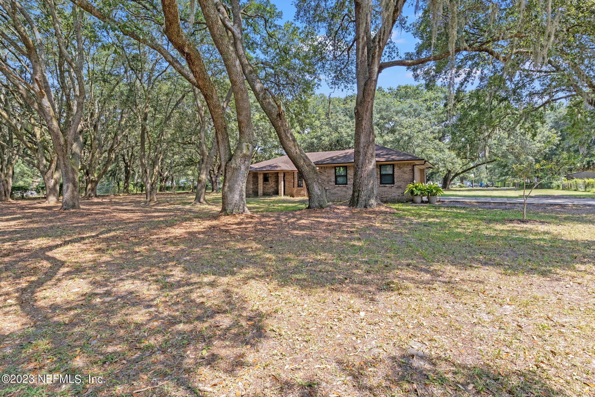 3233 Fritz Road Jacksonville, FL 32226 - Photo 1 of 43 a view of a house with backyard and a tree