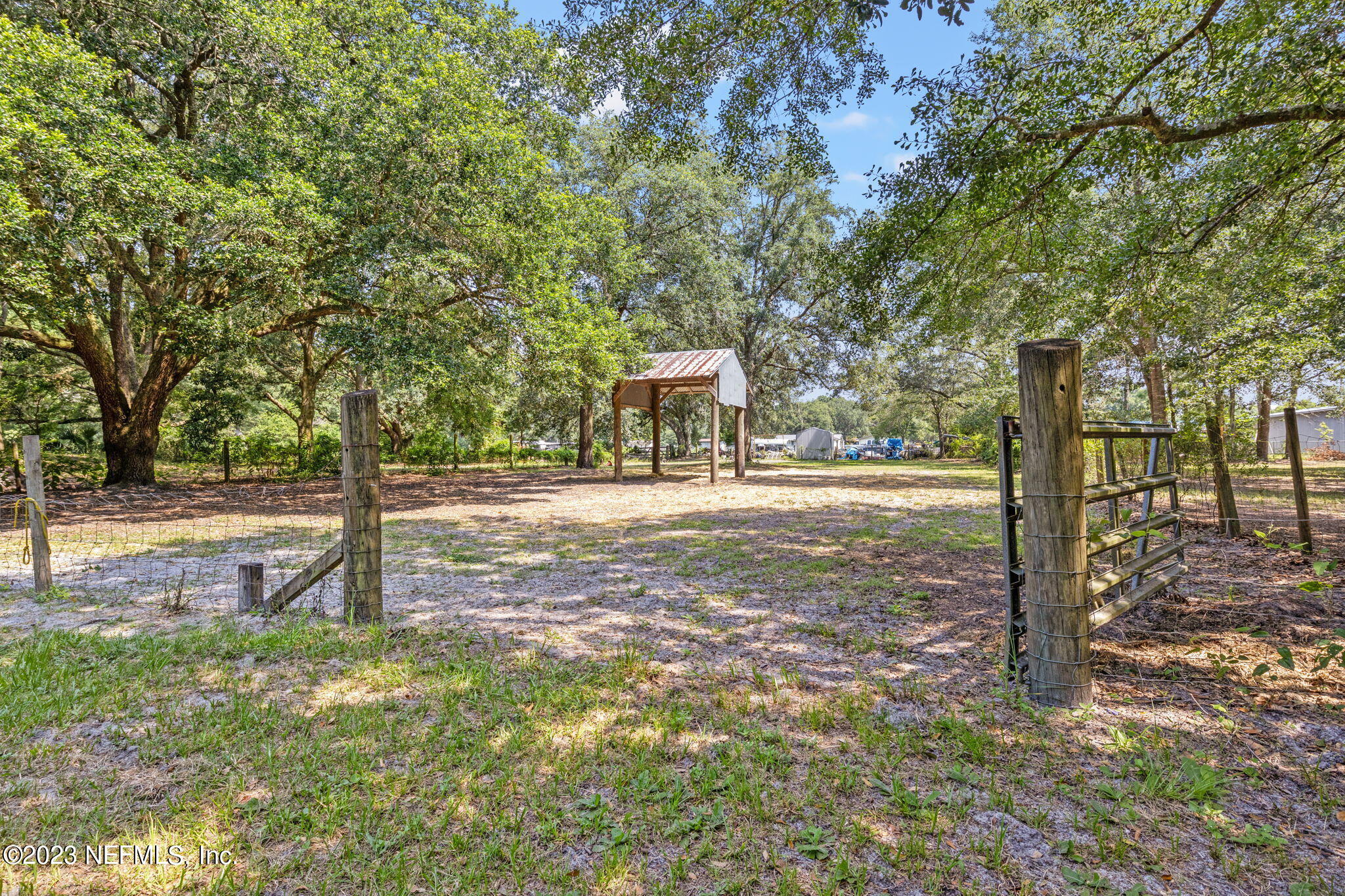 3233 Fritz Road Jacksonville, FL 32226 - Photo 39 of 43 a road view with large trees